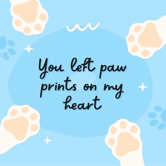 Pets section🐩 - Picture 1 of 1